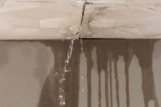 Professional Structural Drying technician working in Hamden, OH